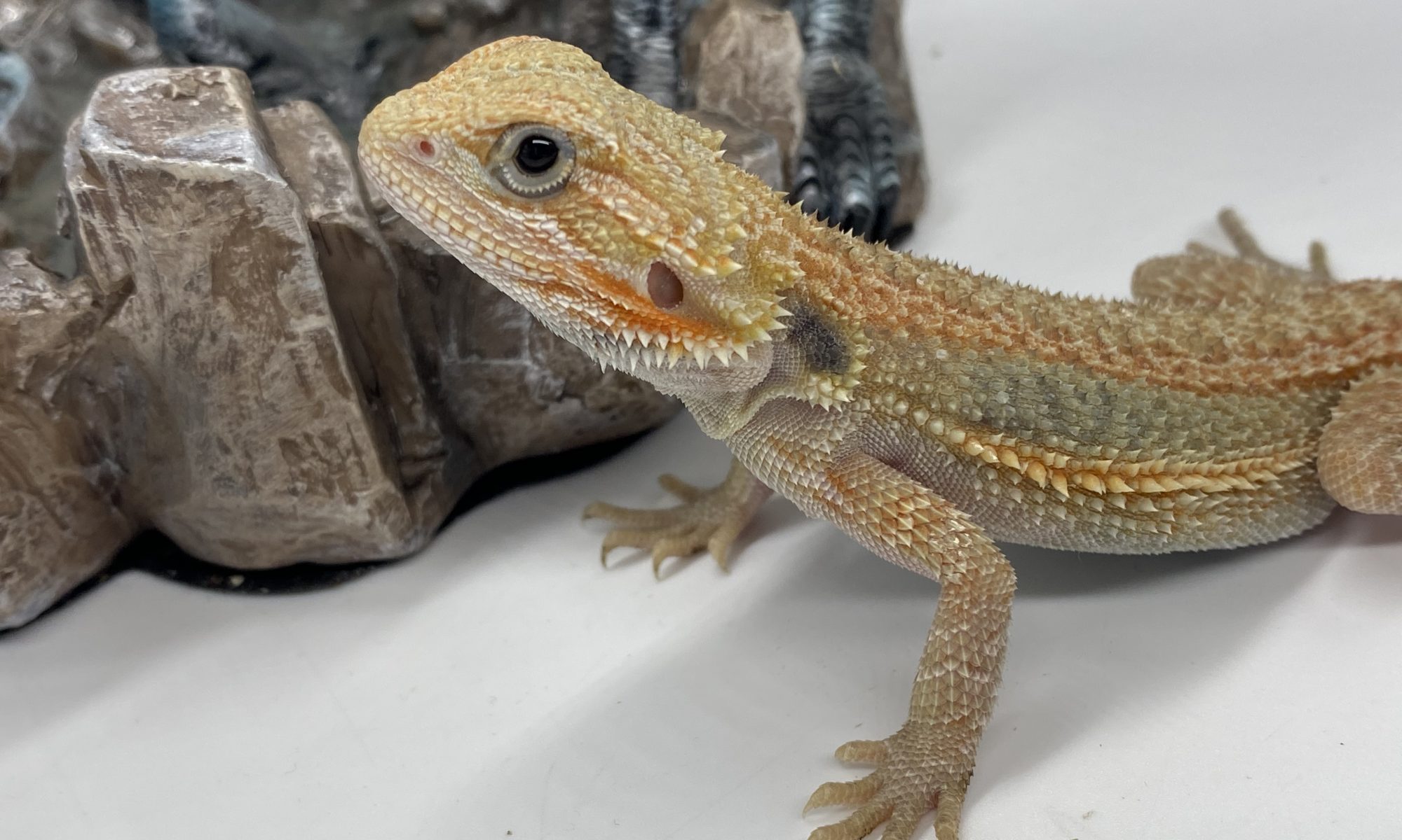 3D83143C-20A7-458D-B962-